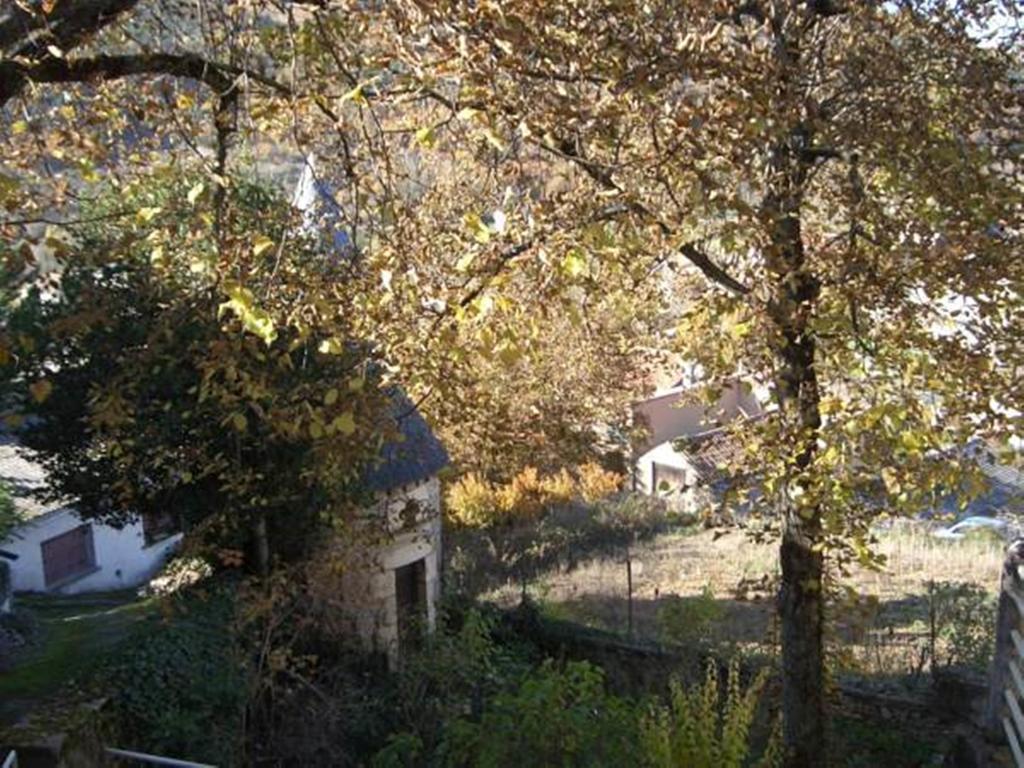 Les Fleurs De Marie Villa La Cresse Cameră foto